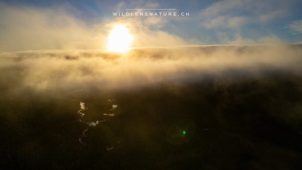 Nebel im Morgenlicht, Luftaufnahme