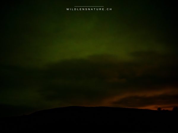 Polarlicht über der Hügelsilhouette
