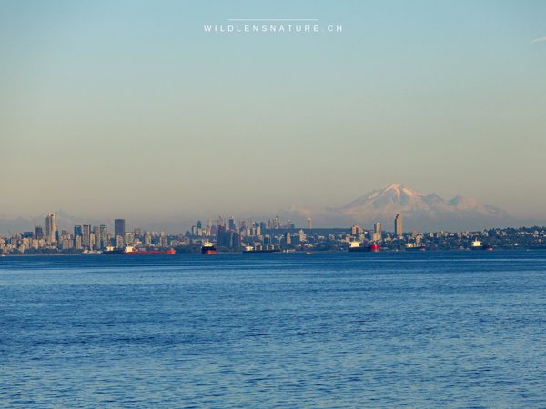Downtown Vancouver aus Horseshoe Bay