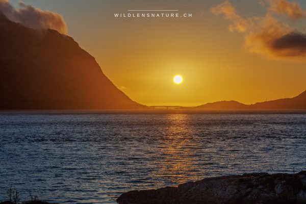 Mitternachtssonne über den Lofoten