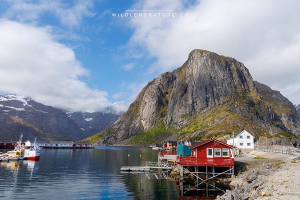 Norwegen: Lofoten, Wale und Seeadler - Mai 2026