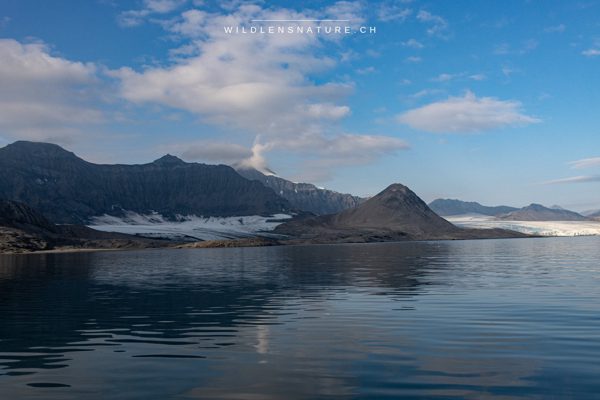 Spitzbergen: Sommerabenteuer - August 2024