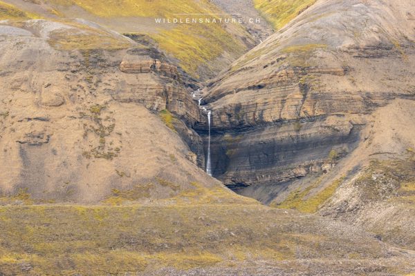 Dramatische Fjordlandschaft mit Wasserfall