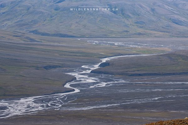 Tal-Flusslandschaft aus der Höhe