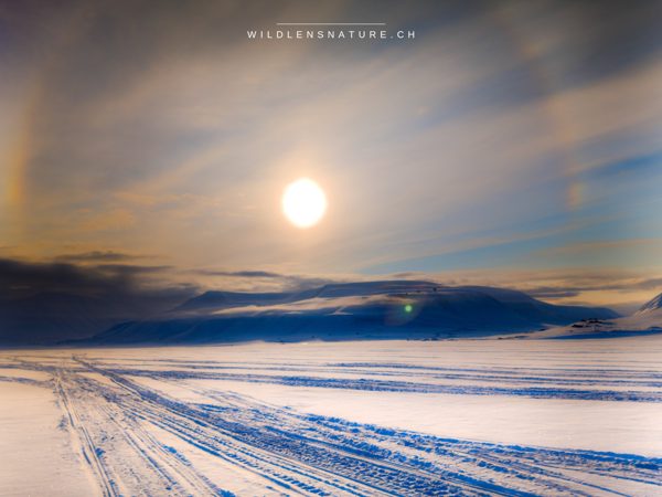Spitzbergen: Winterexpedition - März 2025