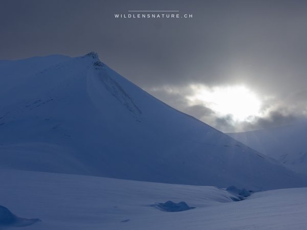 Berg im Morgenlicht
